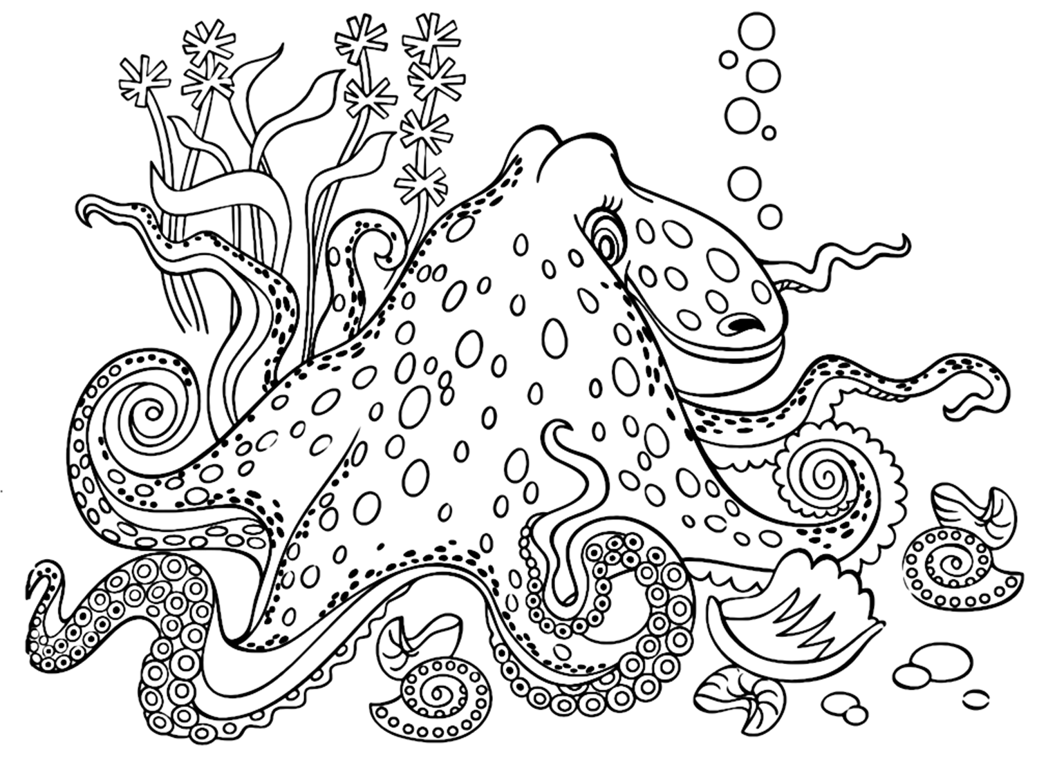Kleurplaten voor volwassenen Octopus