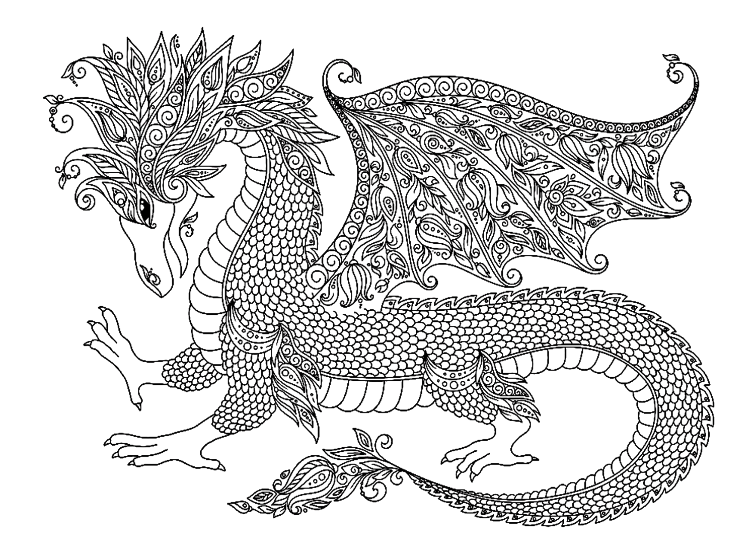 Páginas para colorear de dragones para adultos de Dragon