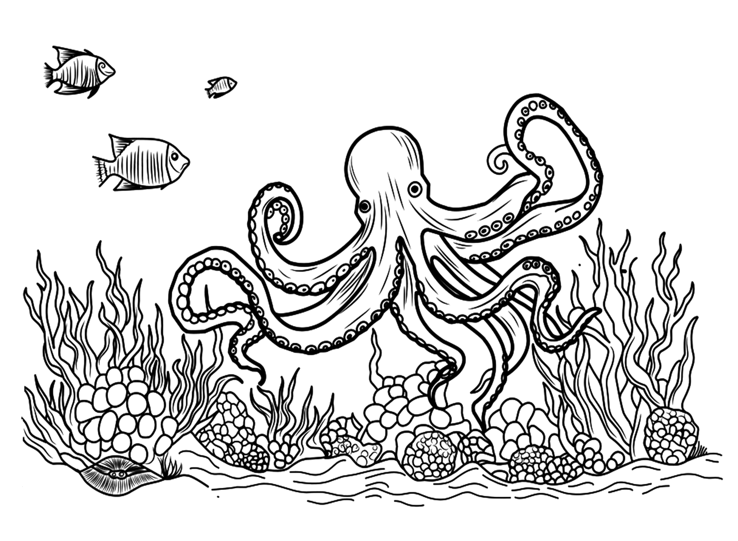 Realistische Octopus kleurplaat van Octopus