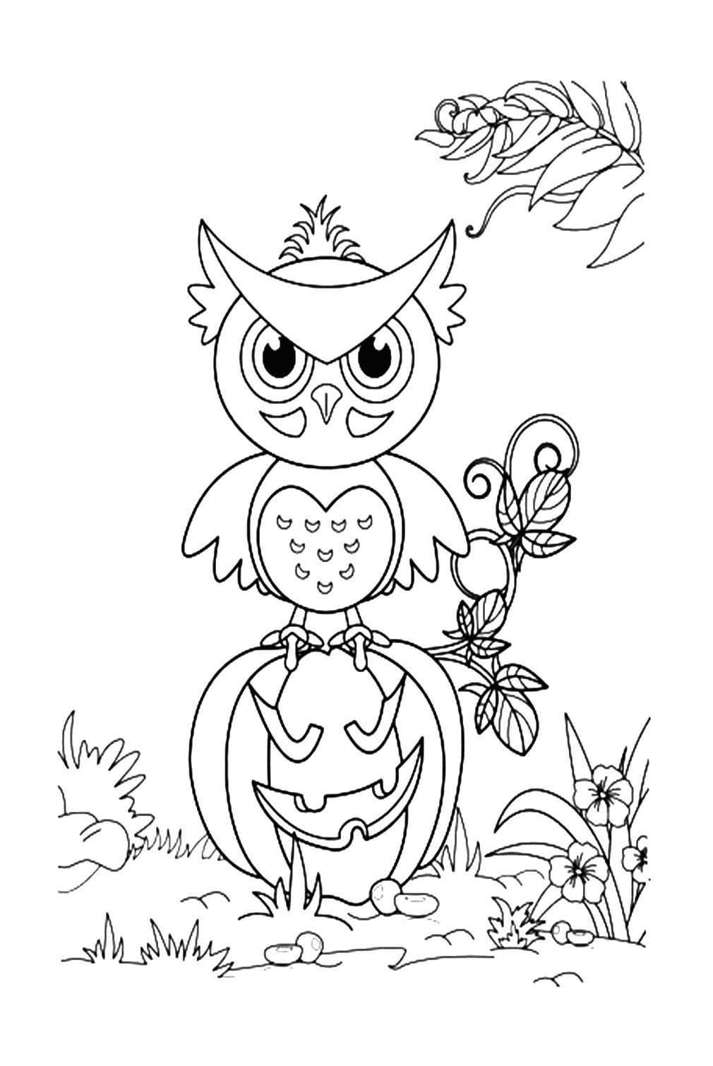 Owl Coloring Sheet from Owl