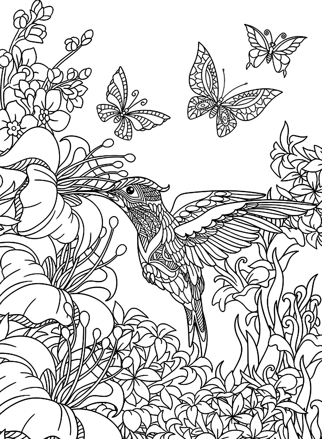 Image couleur d’un colibri d’art de Colibri