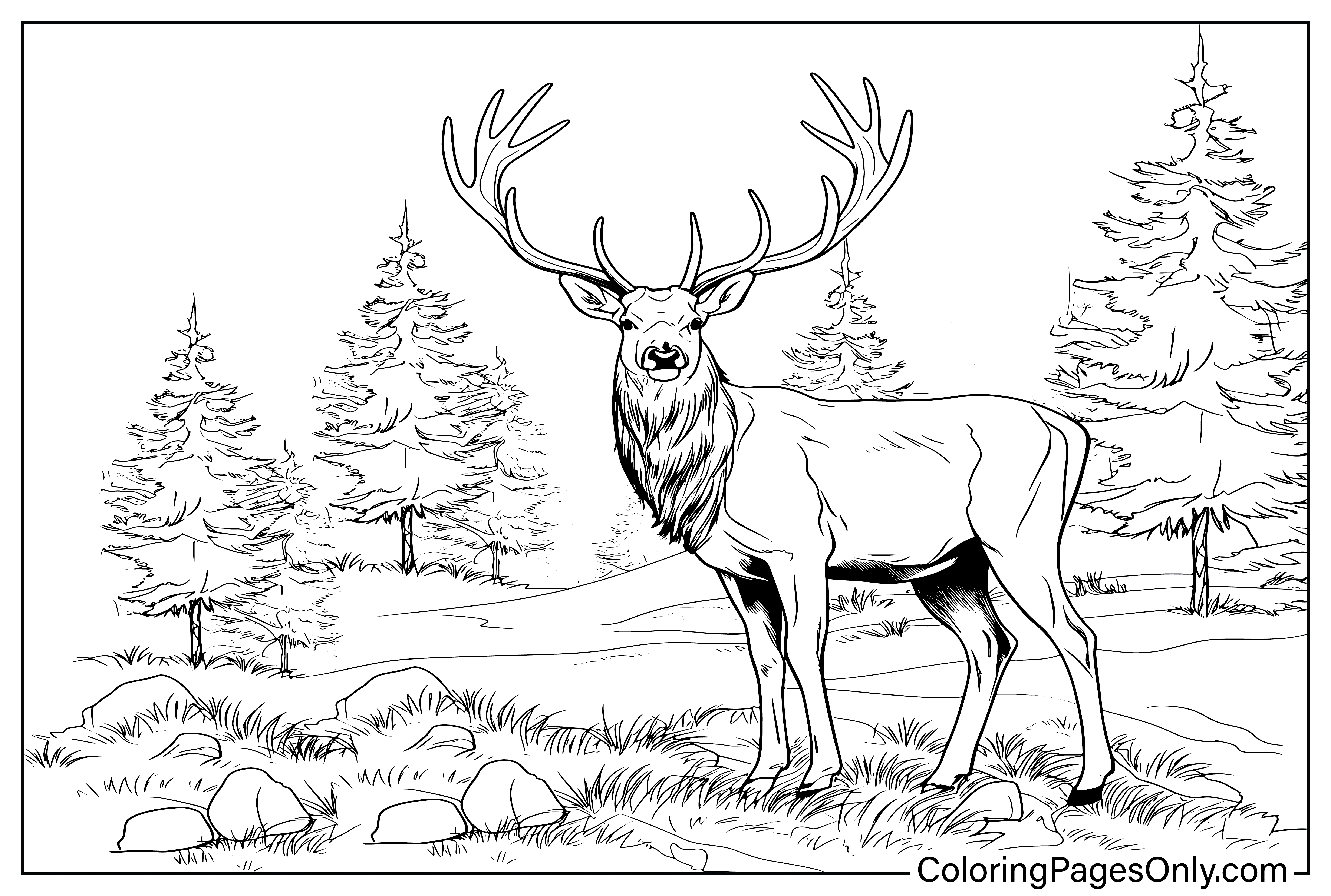 Free Reindeer Coloring Page