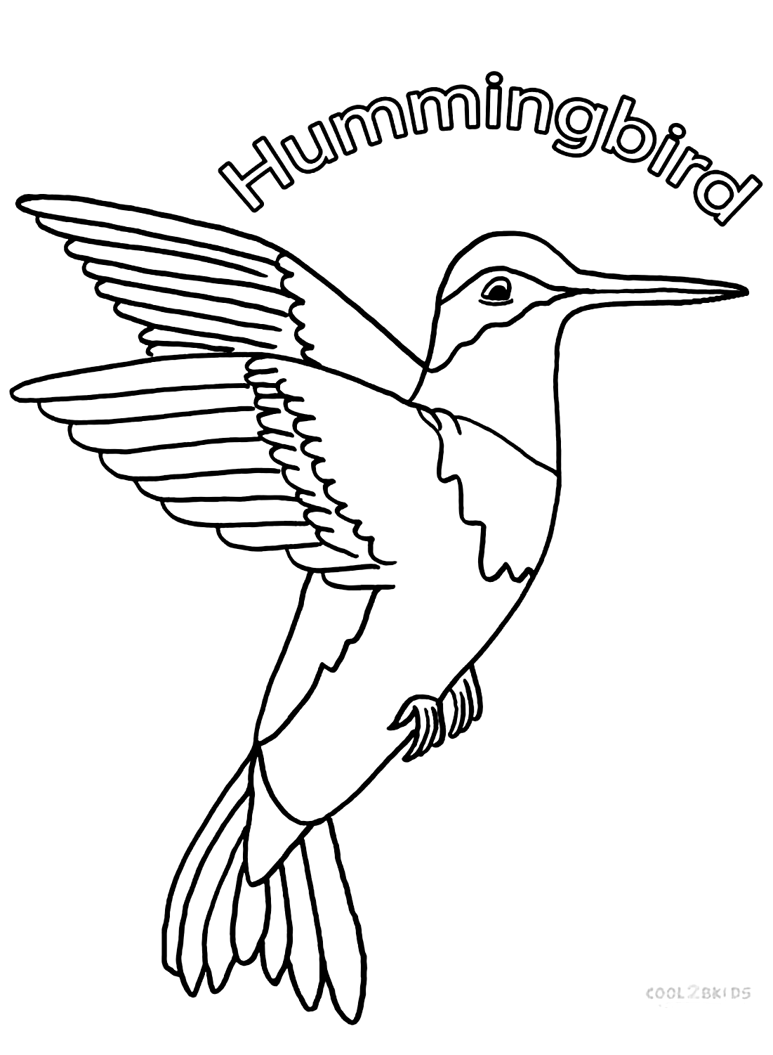 Imagen de colibrí de Colibrí