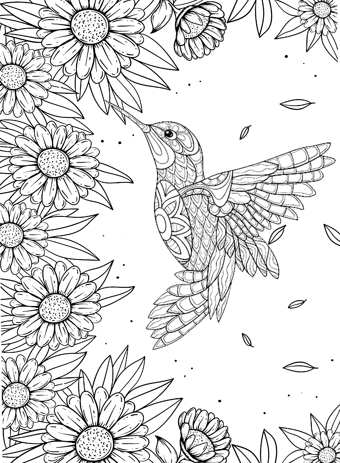 Раскраска Колибри в технике дзентангл от Hummingbird для печати