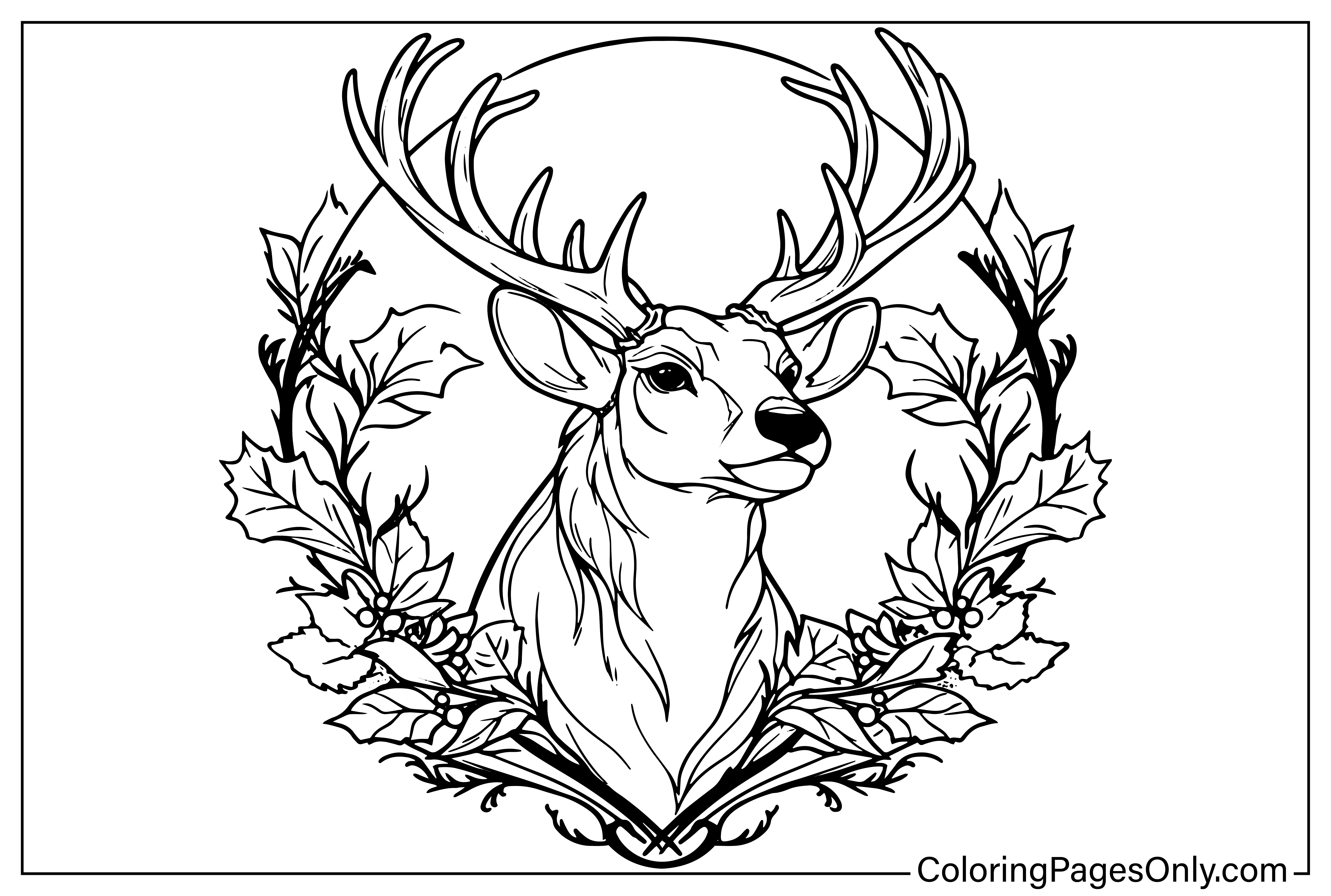 Раскраска оленей бесплатно от Reindeer