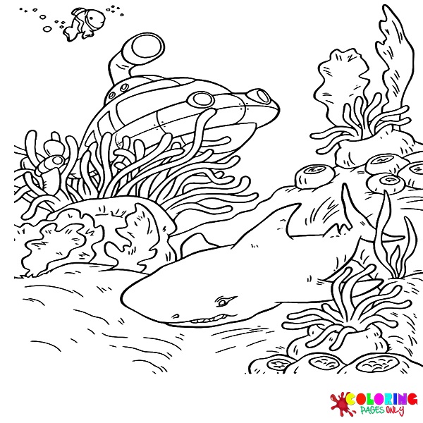 Seas And Oceans Coloring Pages