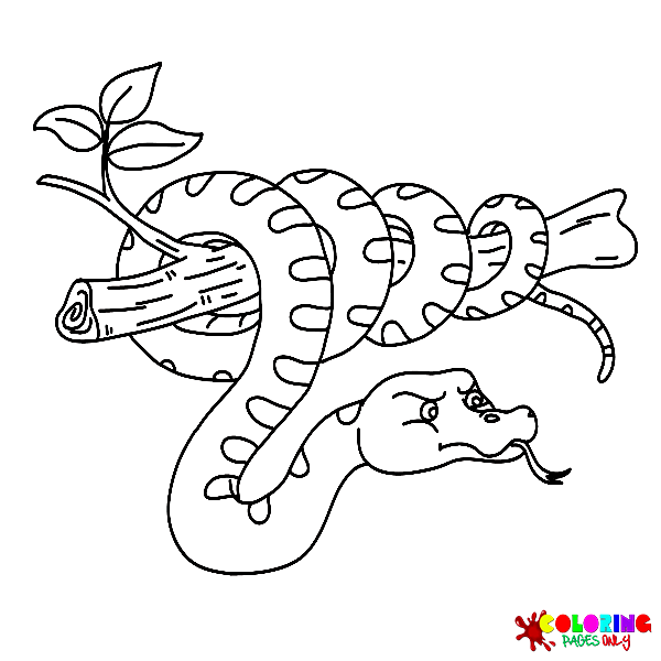 Desenhos de Anaconda para Colorir