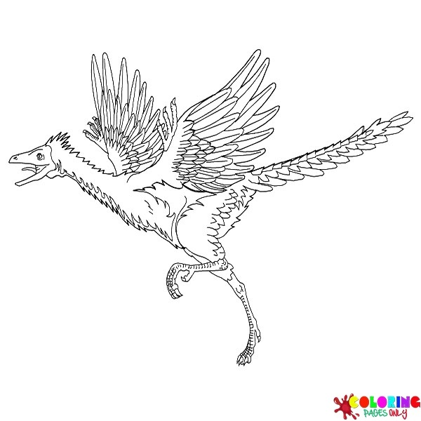 Desenhos para colorir do Archaeopteryx
