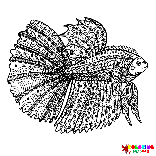 Раскраски Бойцовая рыбка