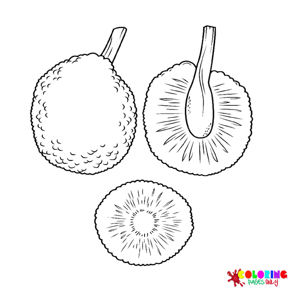 Breadfruit Coloring Pages