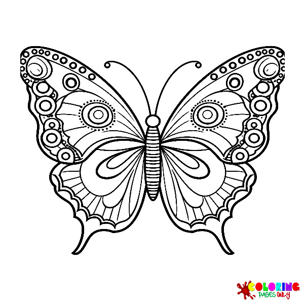 Disegni da colorare di farfalle