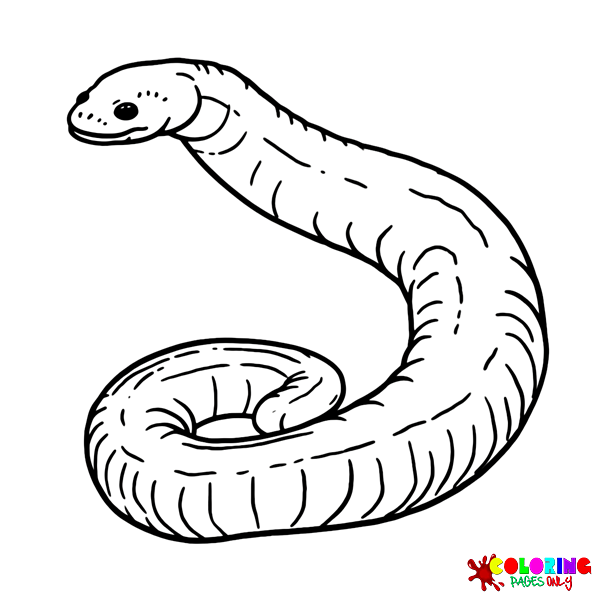 Caecilian Coloring Pages