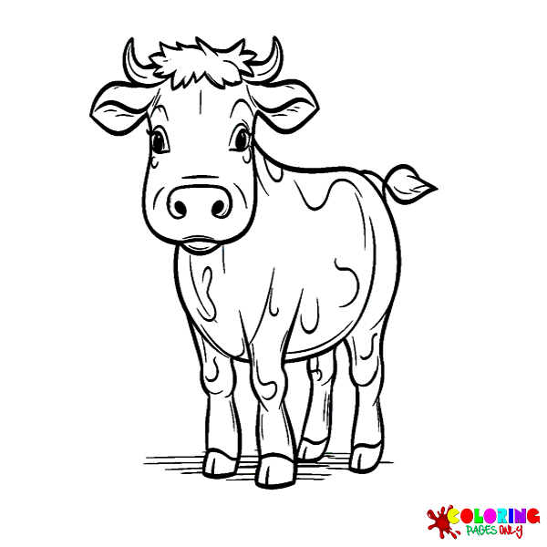 Disegni da colorare di vitello