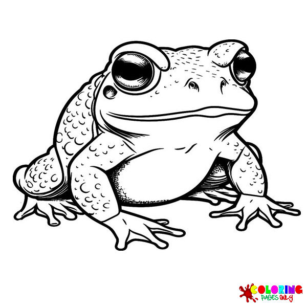 Cane Toad Coloring Pages