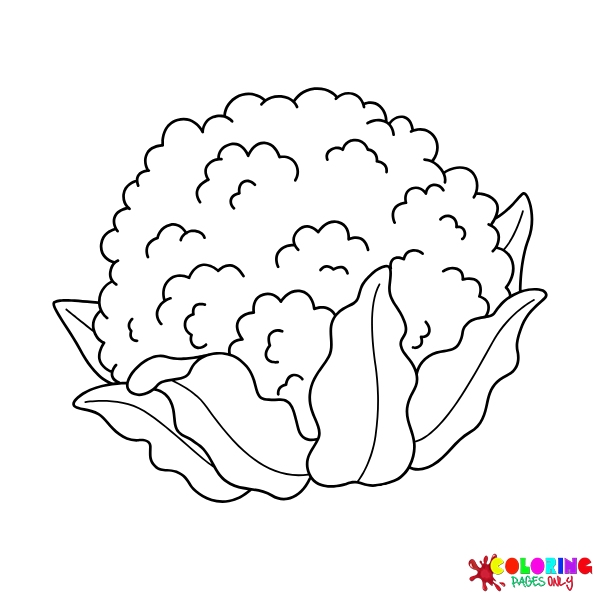 Cauliflower Coloring Pages