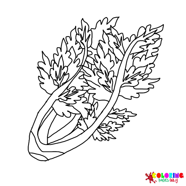 Celery Coloring Pages
