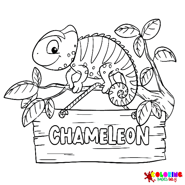 Desenhos para colorir camaleão