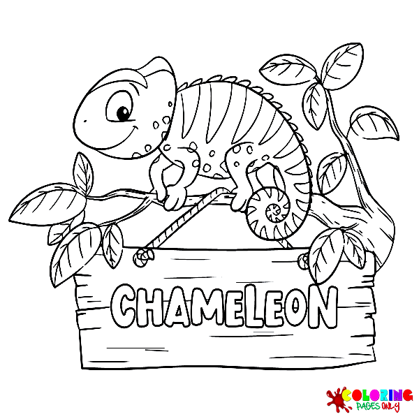 Coloriage caméléon