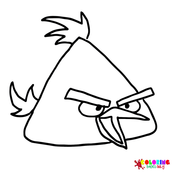 Раскраски Чак (Angry Bird)