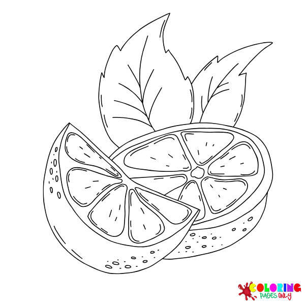 Desenhos para colorir de frutas cítricas