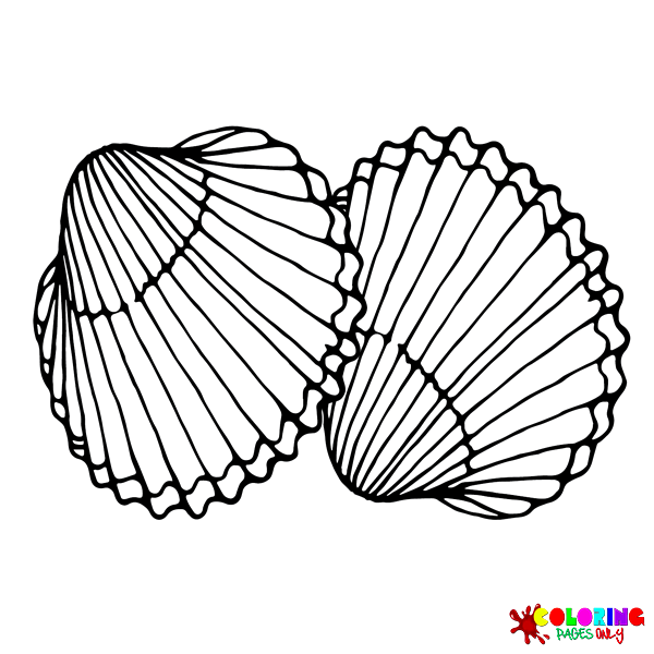 Cockle Coloring Pages