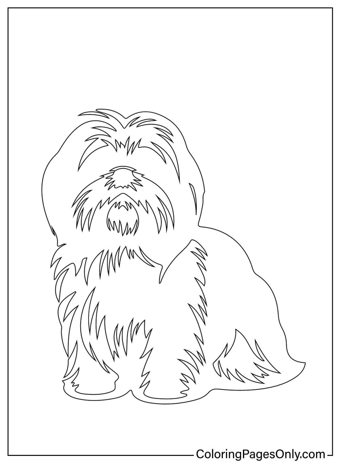 Coloring Pages Shih Tzu from Shih Tzu
