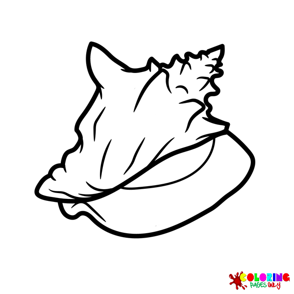 Conch Coloring Pages