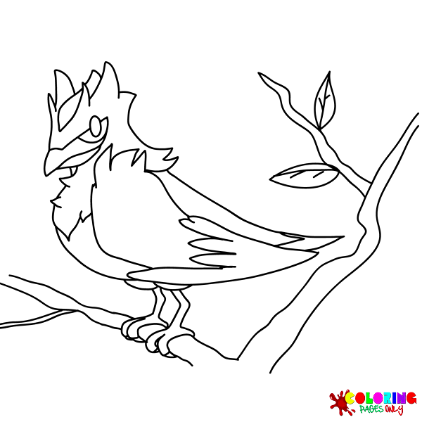 Corvisquire Coloring Pages