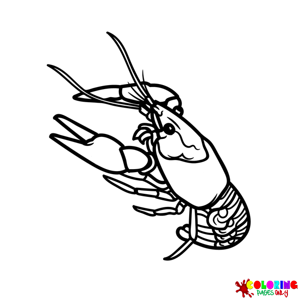 Crawfish Coloring Pages