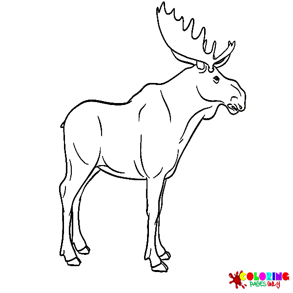 Elk Coloring Pages