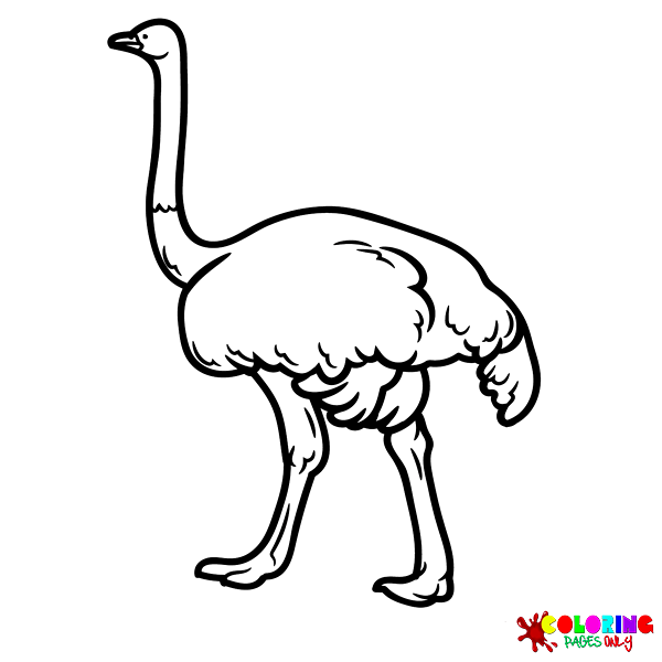 Emu Kleurplaten
