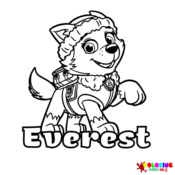 Patrulla Canina Everest Para Colorear