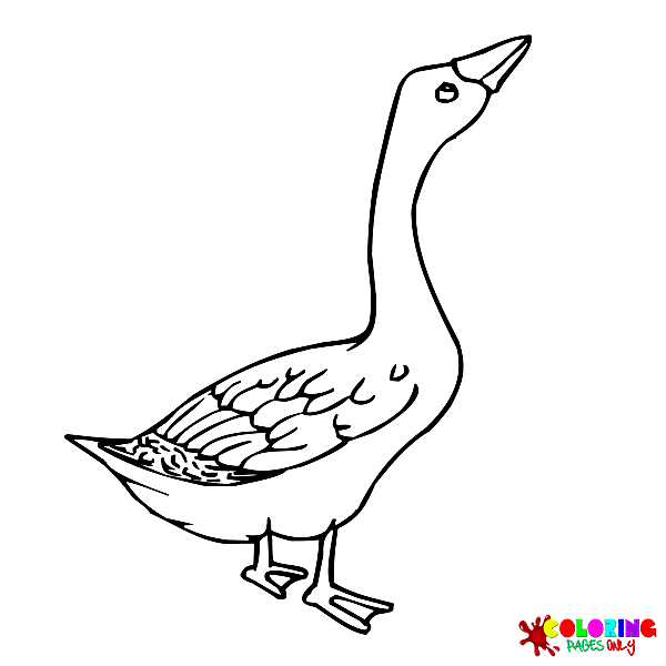 Goose Coloring Pages