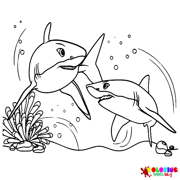Desenhos para colorir do grande tubarão branco