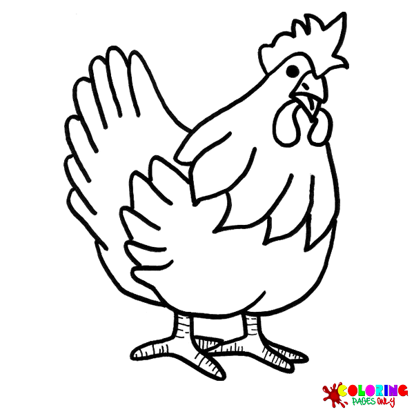 Hen Coloring Pages