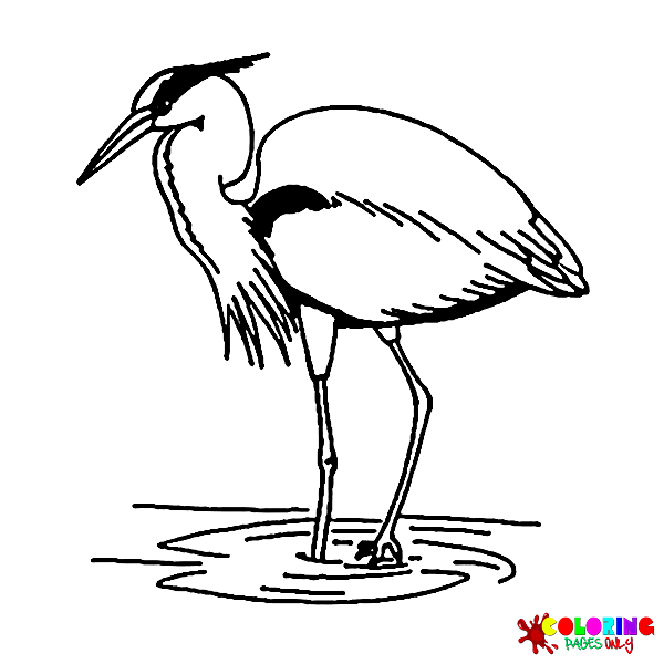 Heron Coloring Pages