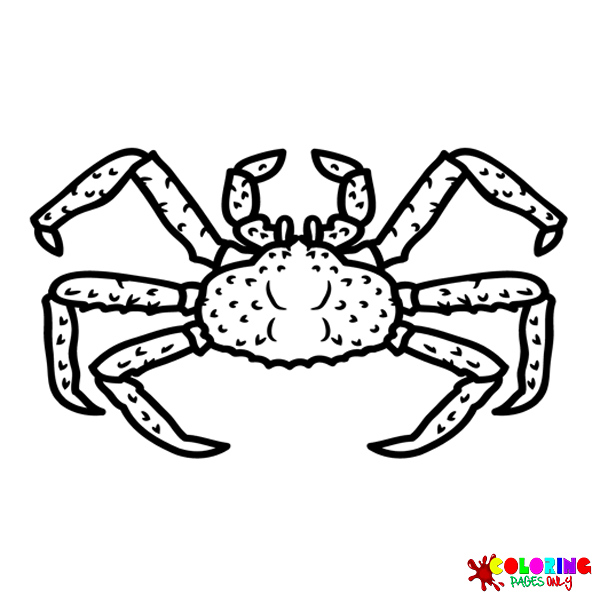 King Crab Coloring Pages