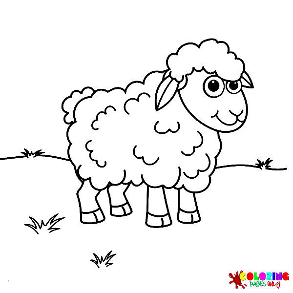 Lamb Coloring Pages