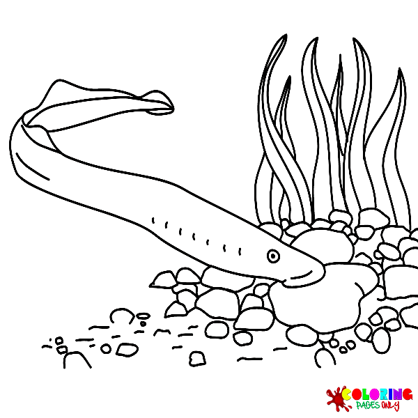 Lamprey Coloring Pages