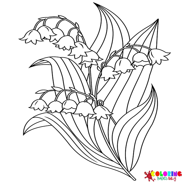 Flower Coloring Pages - Free Printable Coloring Pages