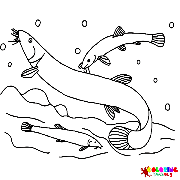 Loach Coloring Pages