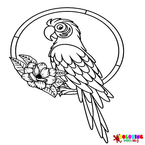 Macaw Coloring Pages