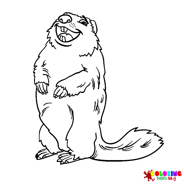24 Free Printable Marmot Coloring Pages