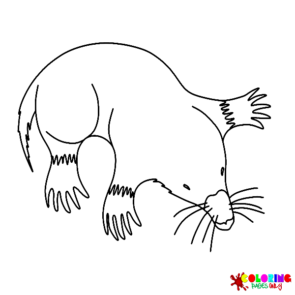 Mole Coloring Pages