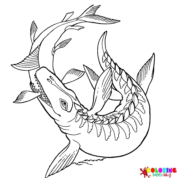 Mosasaur Coloring Pages