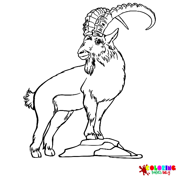 Mouflon Coloring Pages