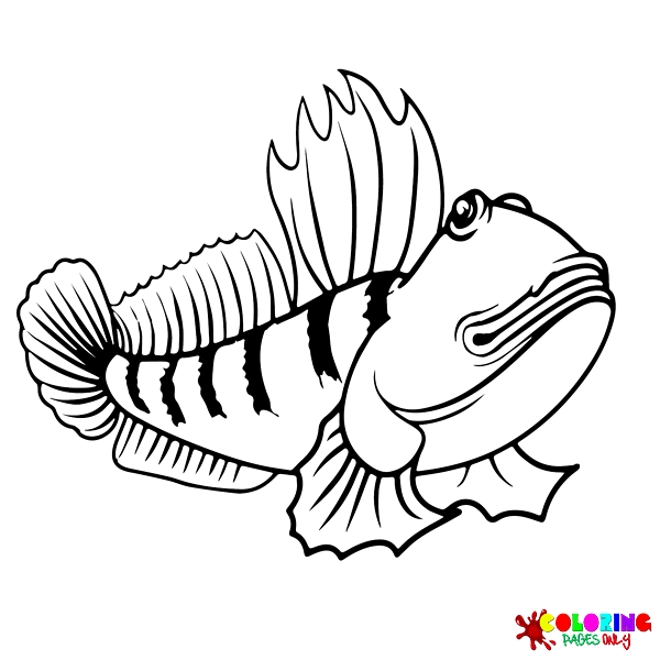 Mudskipper Coloring Pages