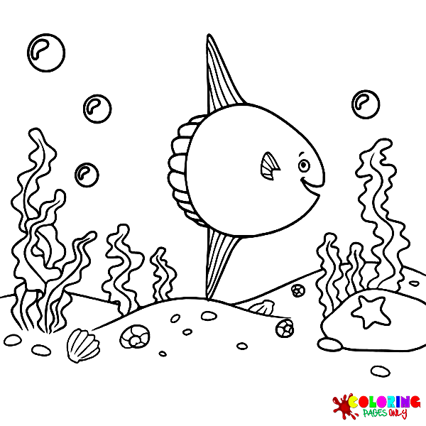 Ocean Sunfish Coloring Pages