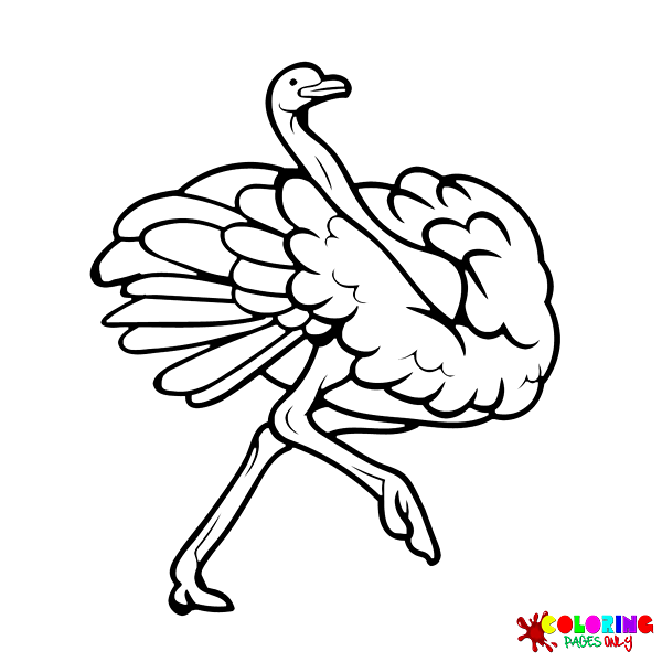 Ostrich Coloring Pages