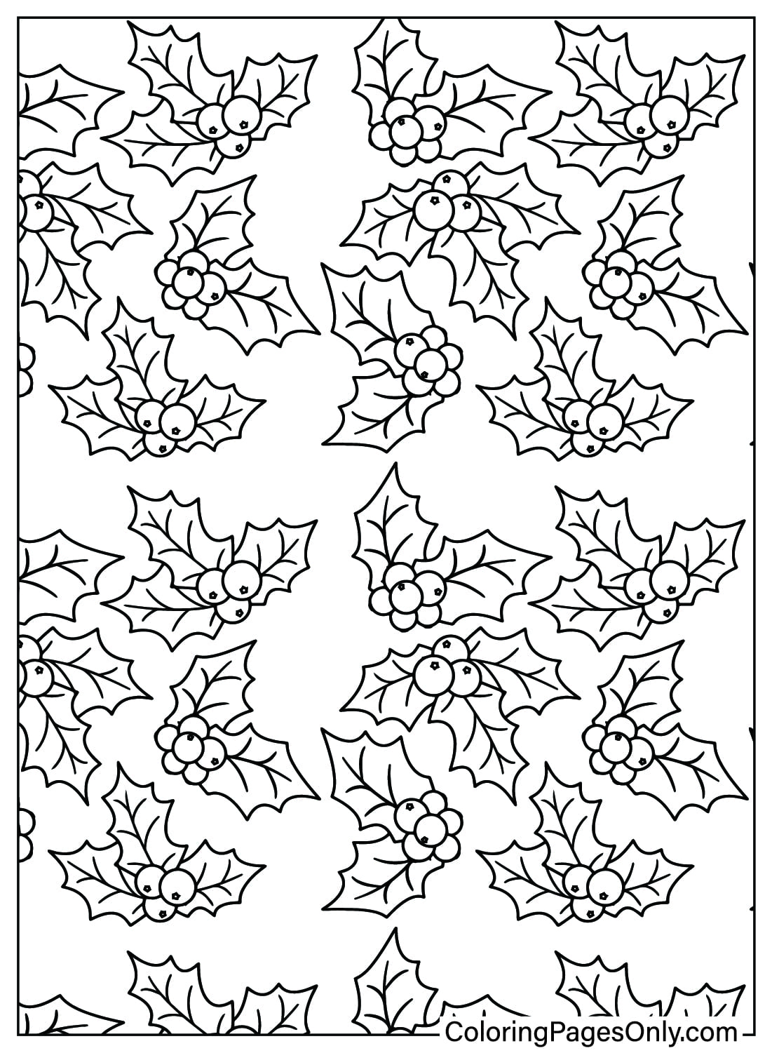 Pattern Christmas Holly Coloring Page Free from Christmas Pattern